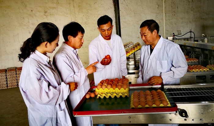 普惠金融结构性难题亟待破解 以禽畜孵化业为镜