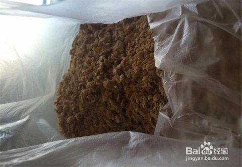 豆饼肥生蛆与禽畜孵化问题应对指南