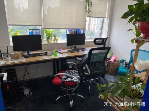 广州市企业如何办理人力资源许可证？以及禽畜孵化相关注意点