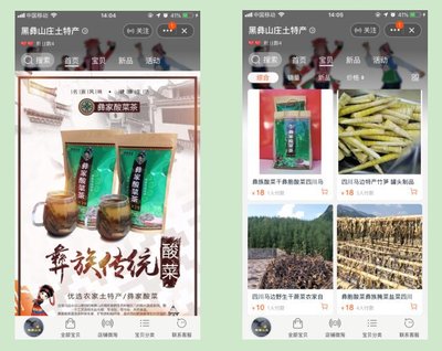 从孵化箱到扶贫路 张秀英老师的电商创业与禽畜孵化故事